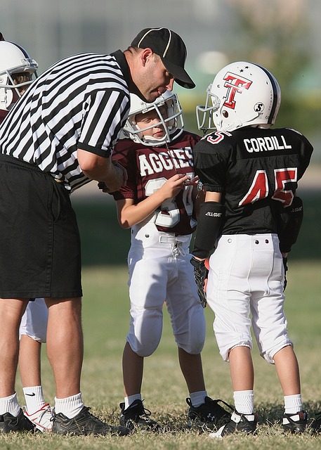 纷纷争抢顶 纷纷争抢顶