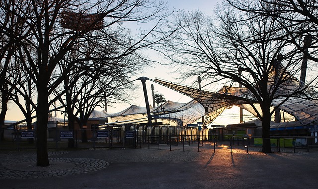 新人霍伊伦 新人霍伊伦