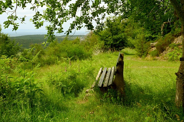 们去探索新 们去探索新