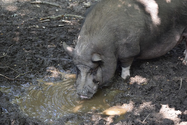 曼城目前阵 曼城目前阵